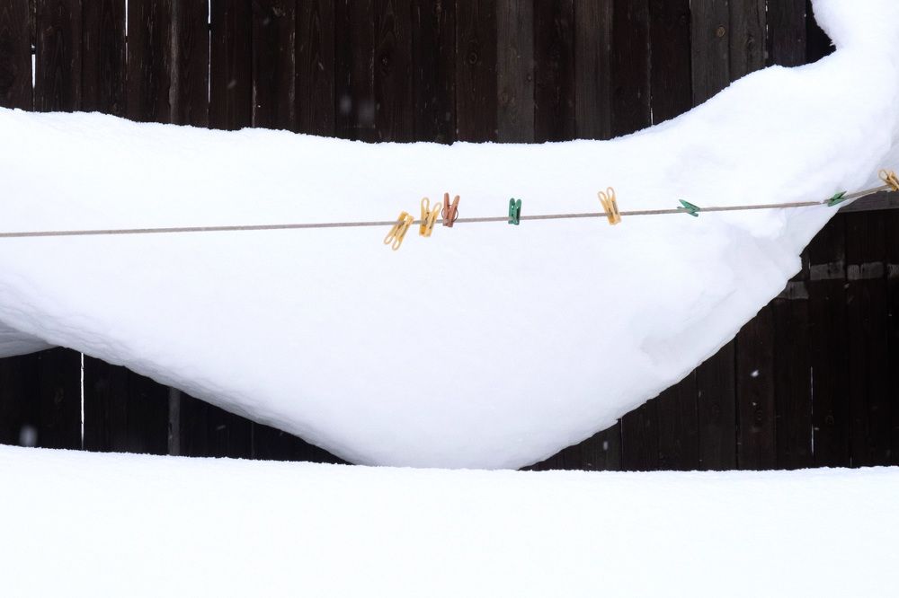 Photograph by Светлана