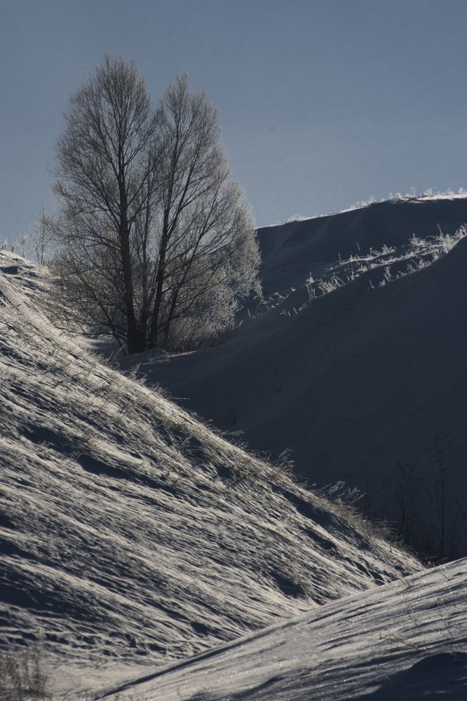 Photograph by Роман Рыжков