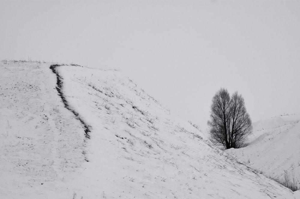 Photograph by Роман Рыжков