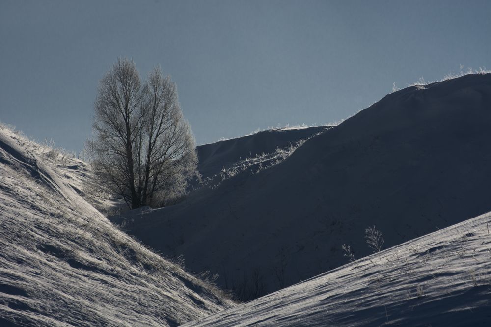 Photograph by Роман Рыжков