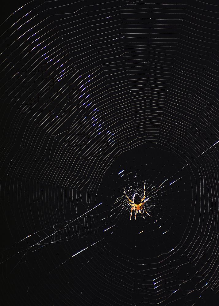 Photograph by Роман Рыжков