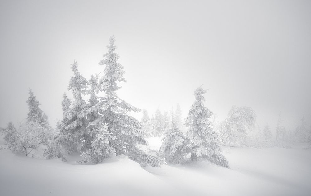 Photograph by Татьяна Бирюкова