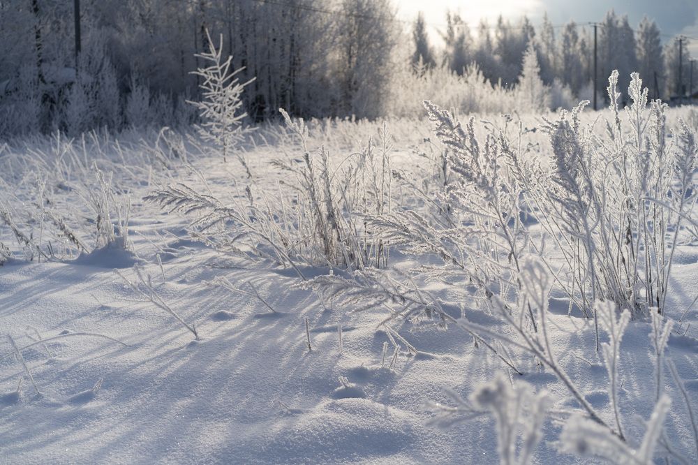 Photograph by Xenia Fedorov