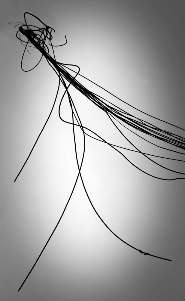 Photograph by Светлана