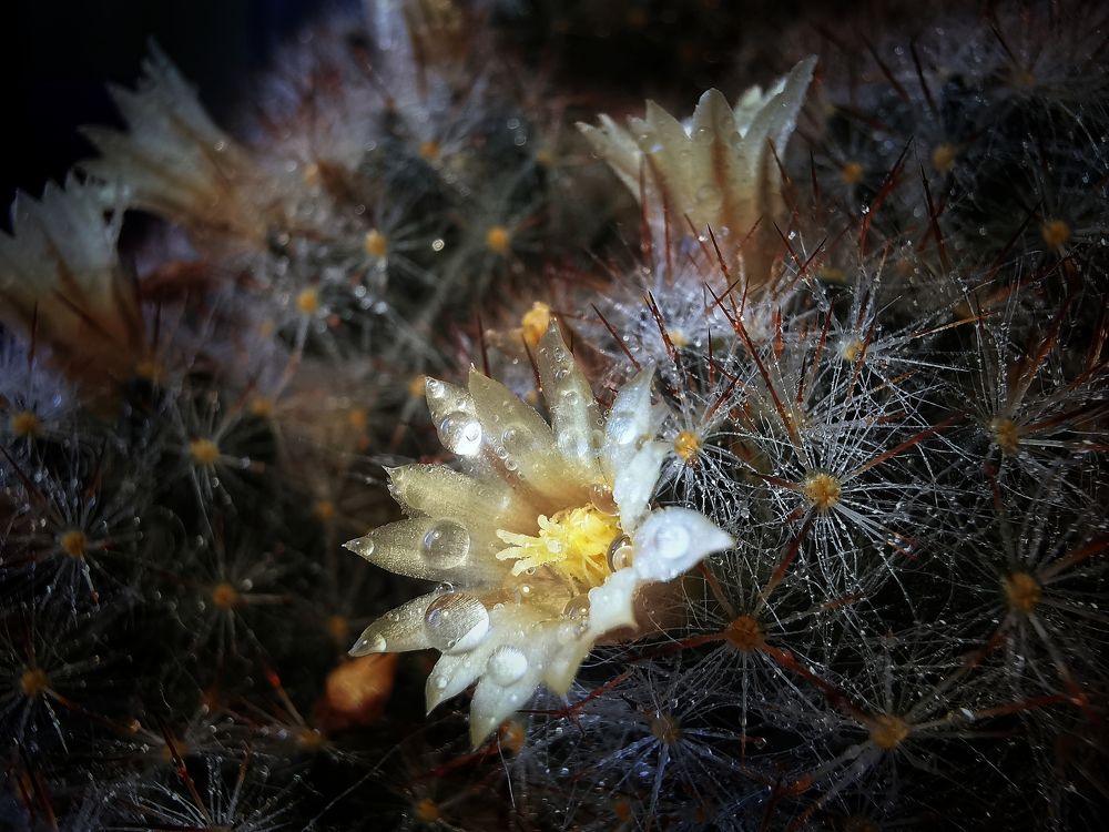 Photograph by Мария Колоскова