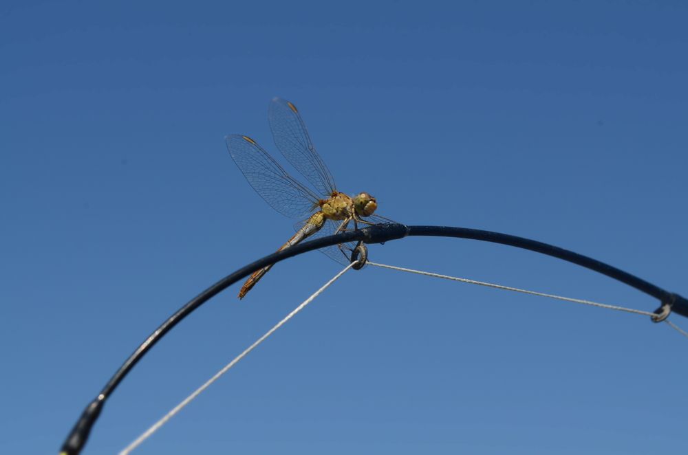 Photograph by Евгений Спиридонов