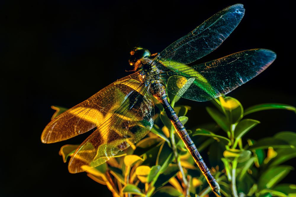 Photograph by Роман Смолко