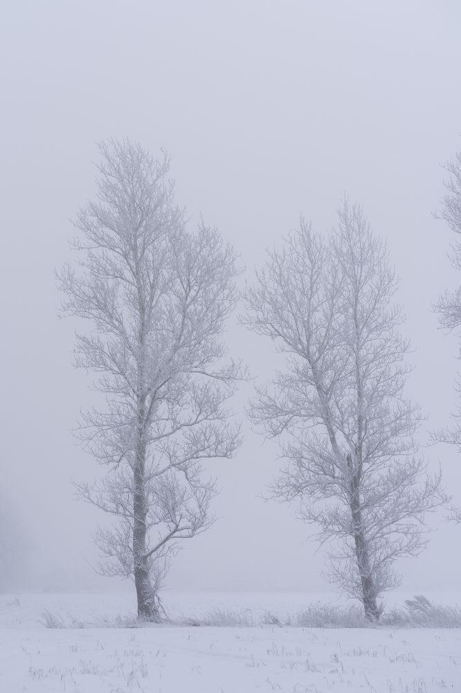 Photograph by Xenia Fedorov