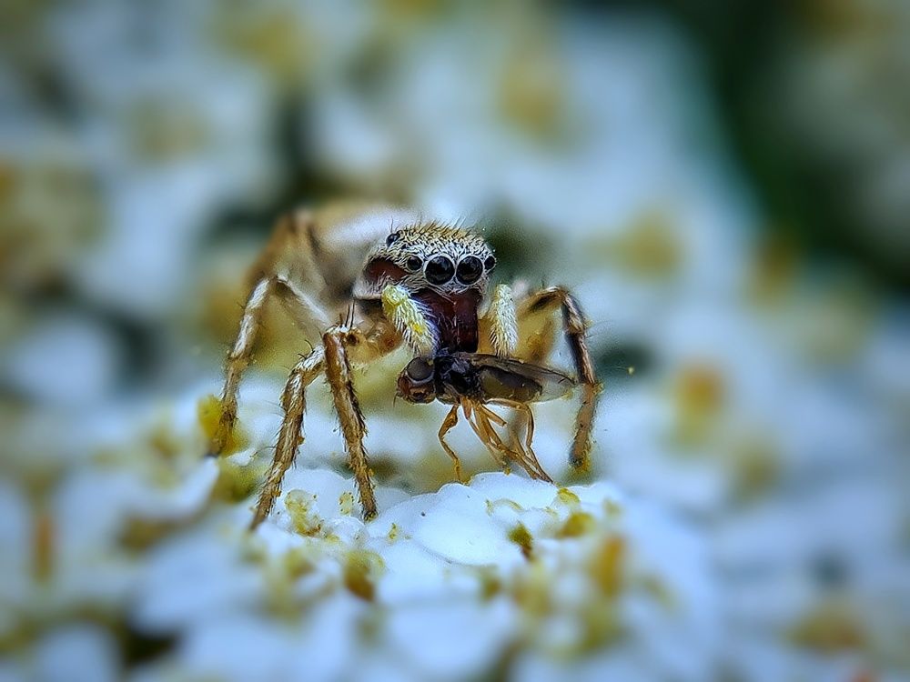 Photograph by Ольга Веселова