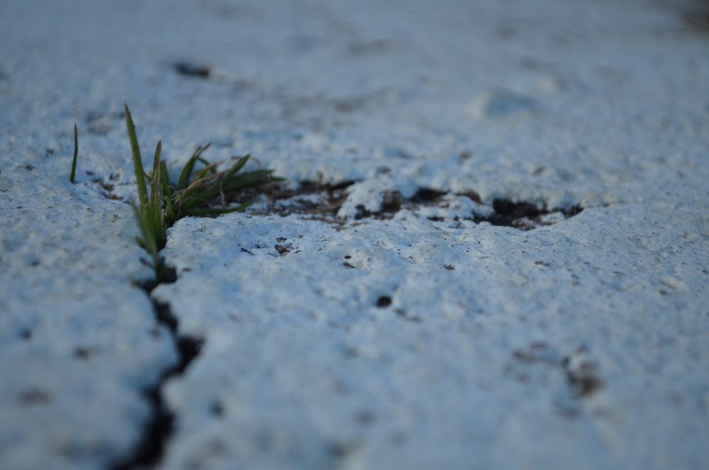 Photograph by Евгений Спиридонов