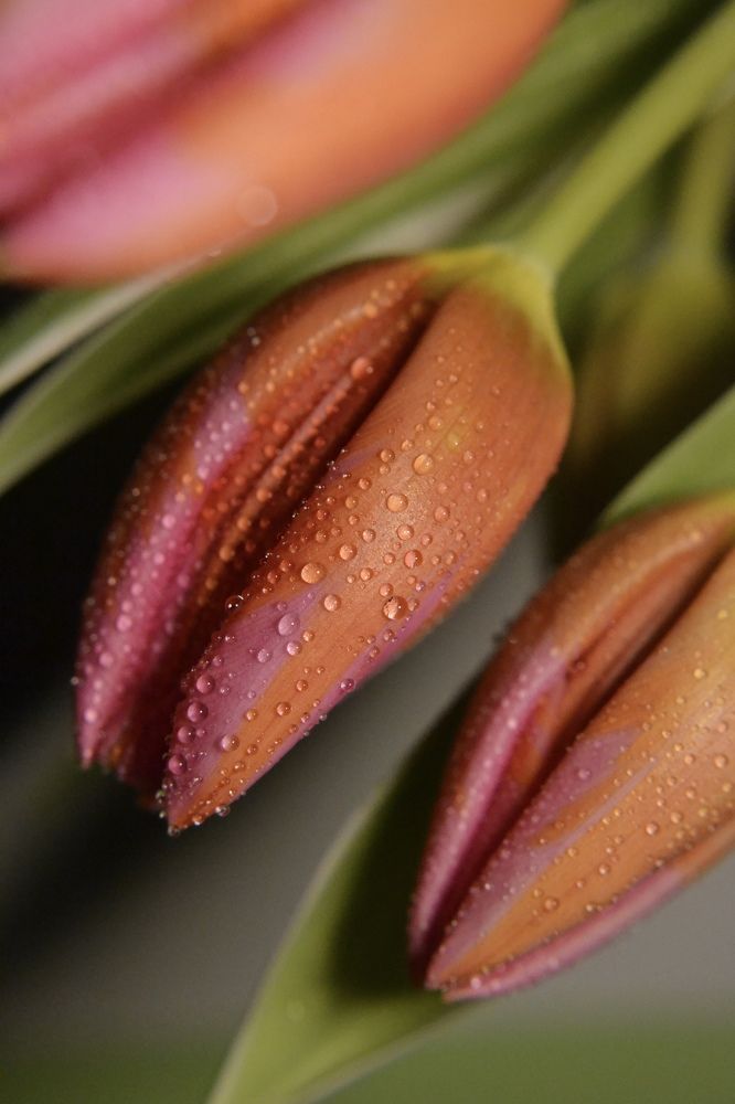 Photograph by Aleksandra