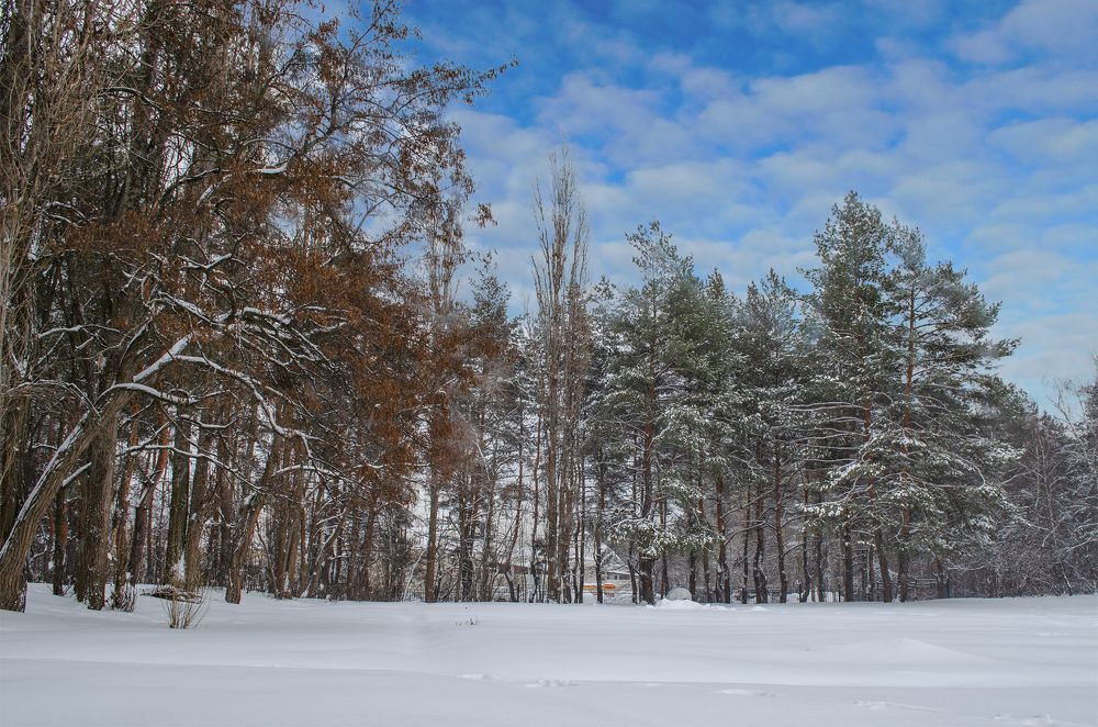 Photograph by Андрей Семенченко