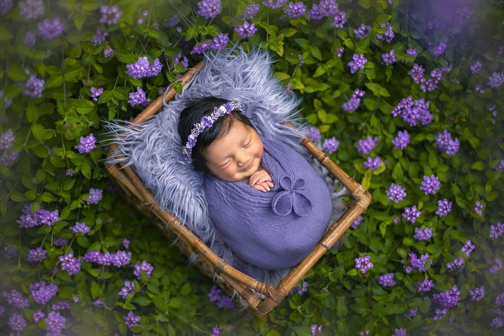 Фотография автора Limor David Samovich