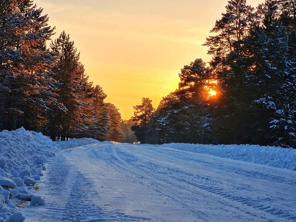 Photograph by Ольга Веселова