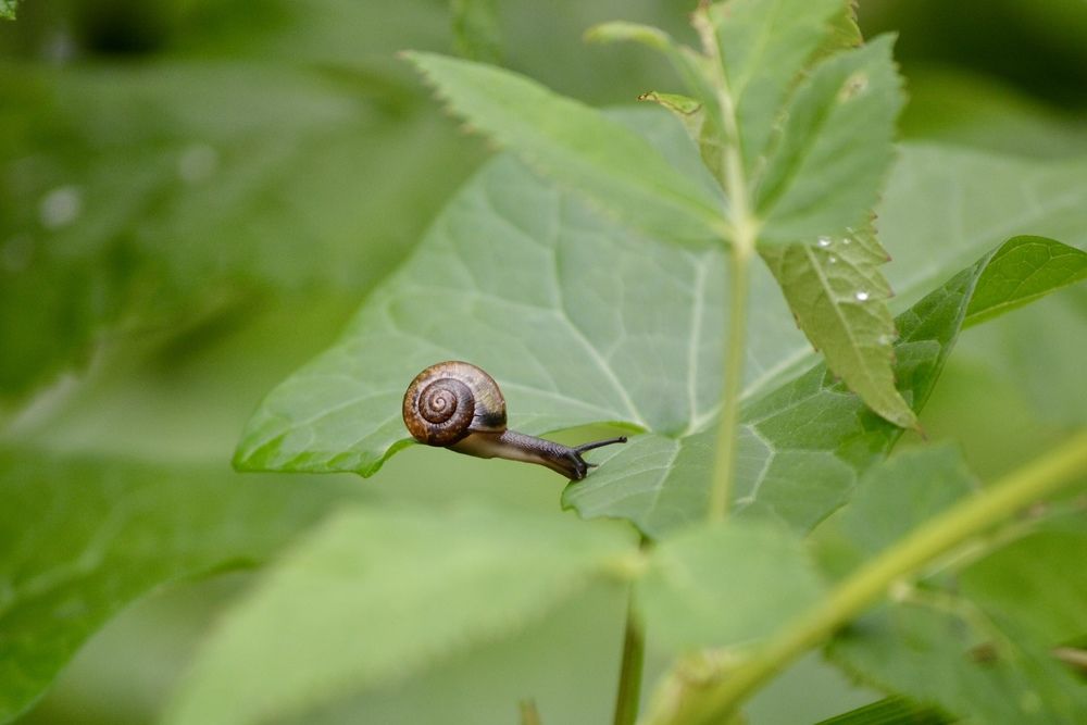 Photograph by Aleksandra