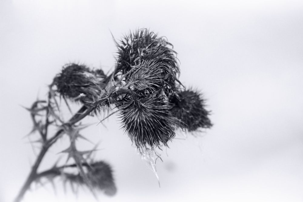 Photograph by Александр Малютин