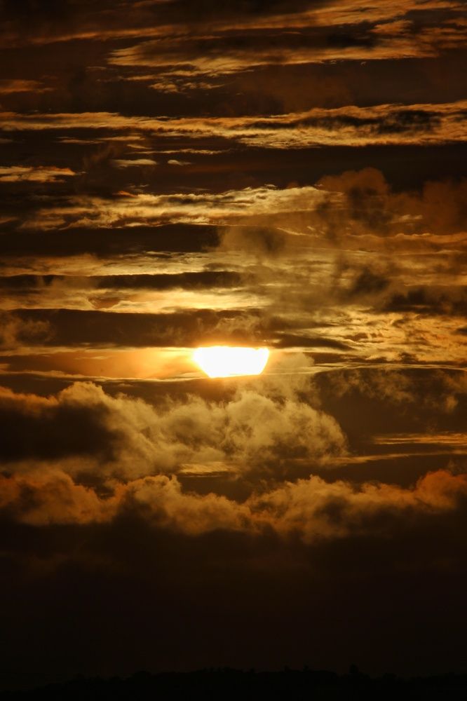 Golden vibes, Sunset.