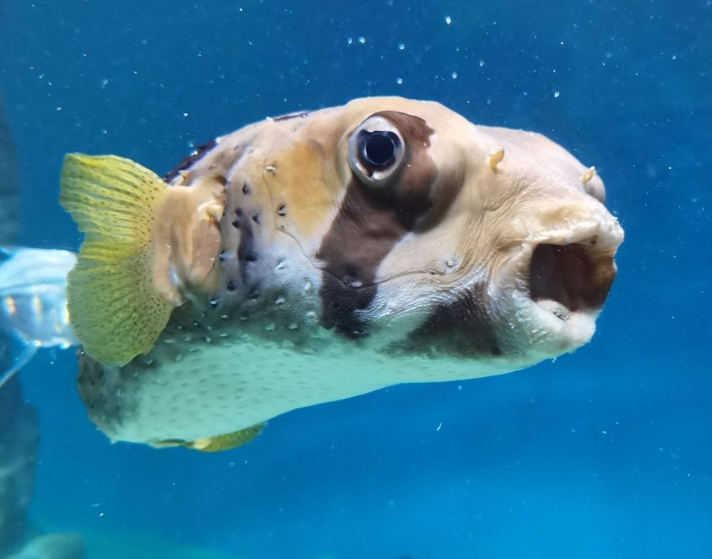 Photograph by Олеся Ивановна Жанько