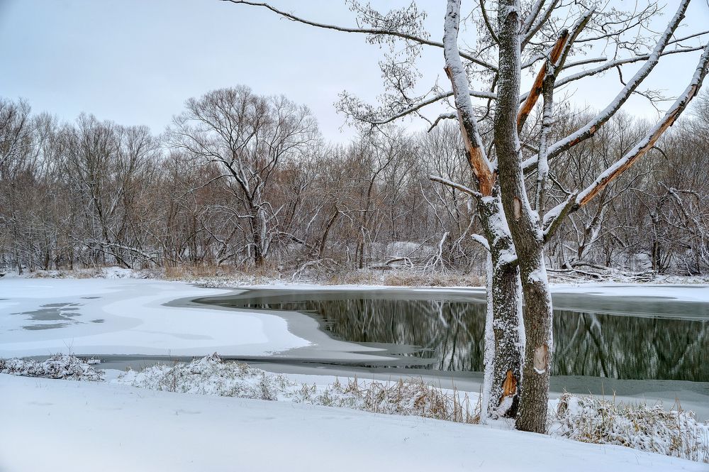 Photograph by Владимир Щеголев