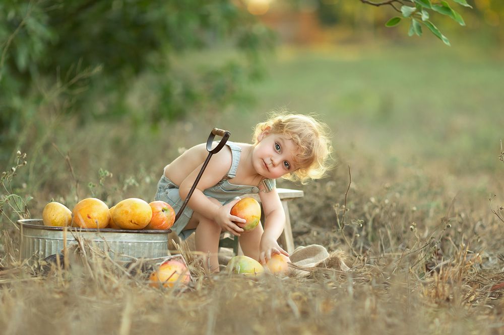 Фотография автора Limor David Samovich