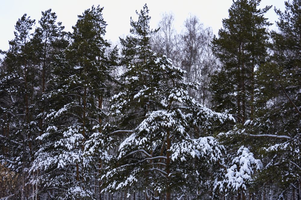 Фотография автора Катрин Евстратова