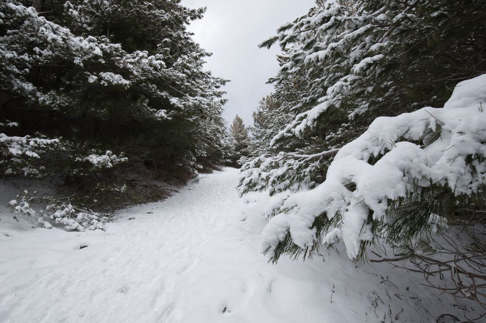 Photograph by Dinesh Umagiliya