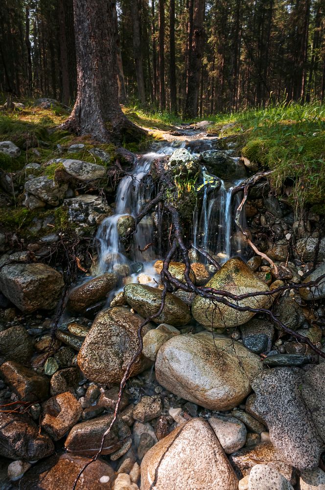 Фотография автора Yakovlev Artur