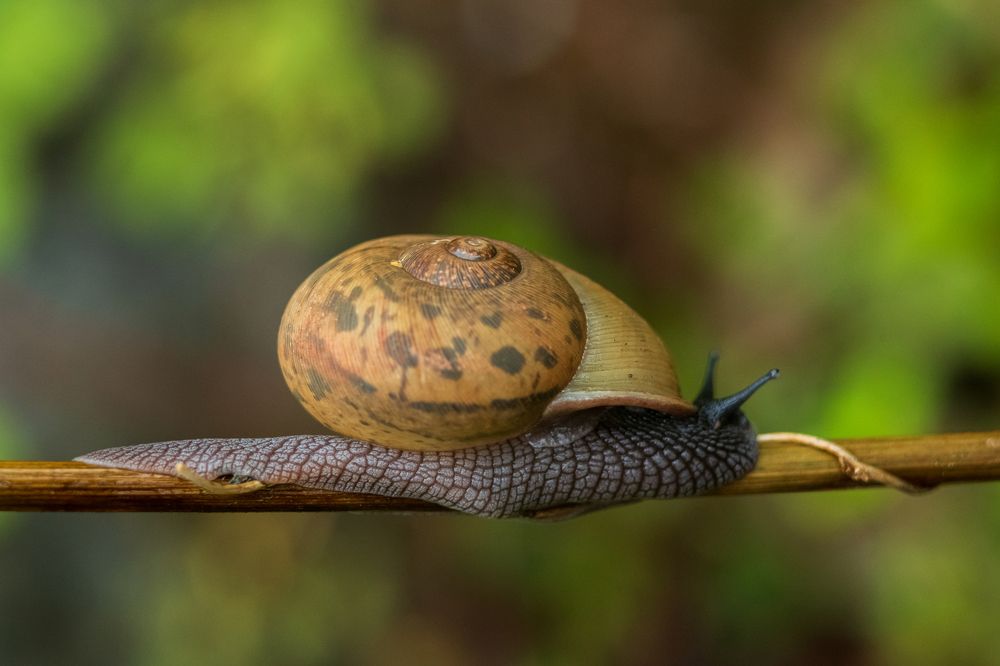 Photograph by Manuel Soto