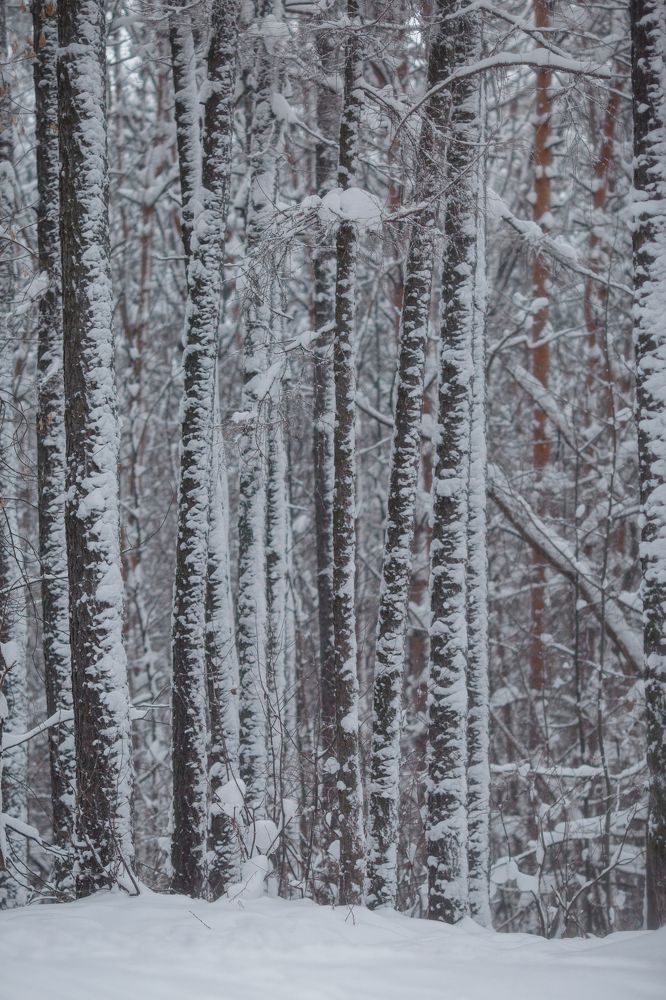 Photograph by Ольга Миронова