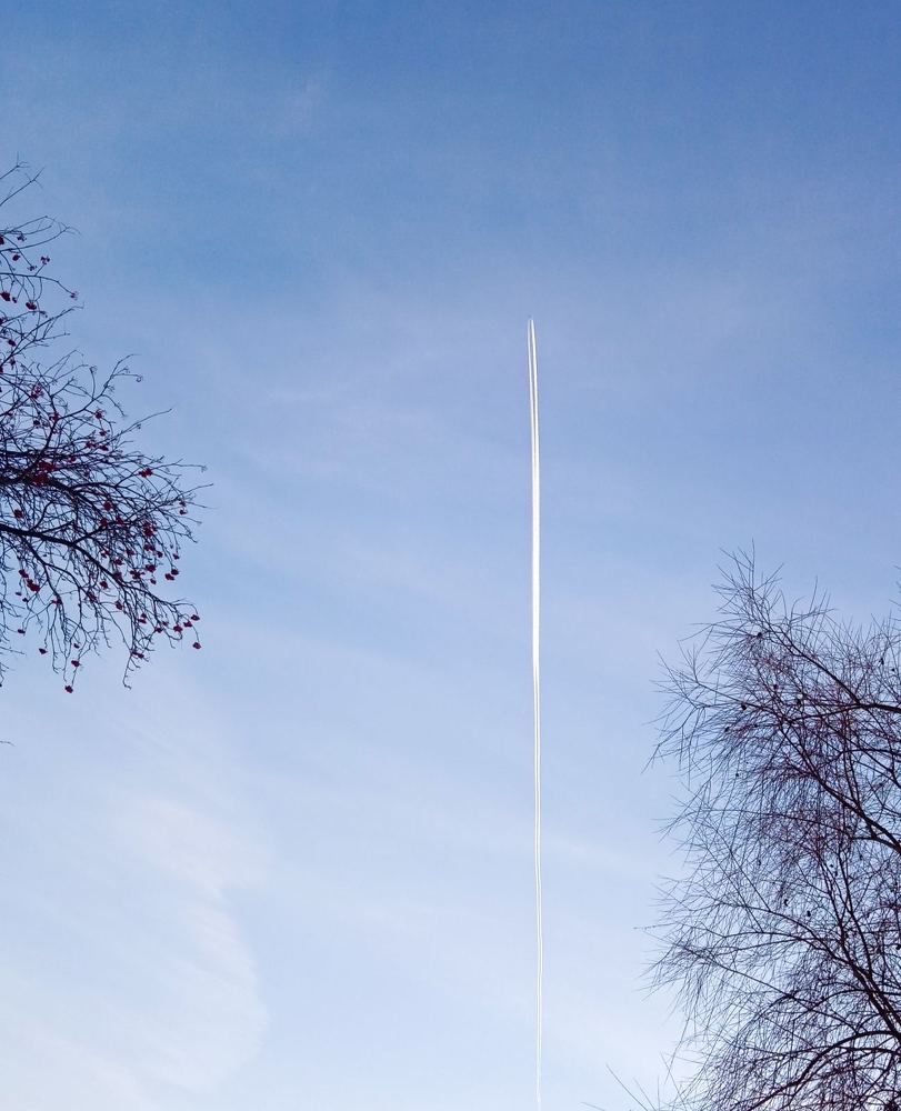 Photograph by Хамитова Светлана