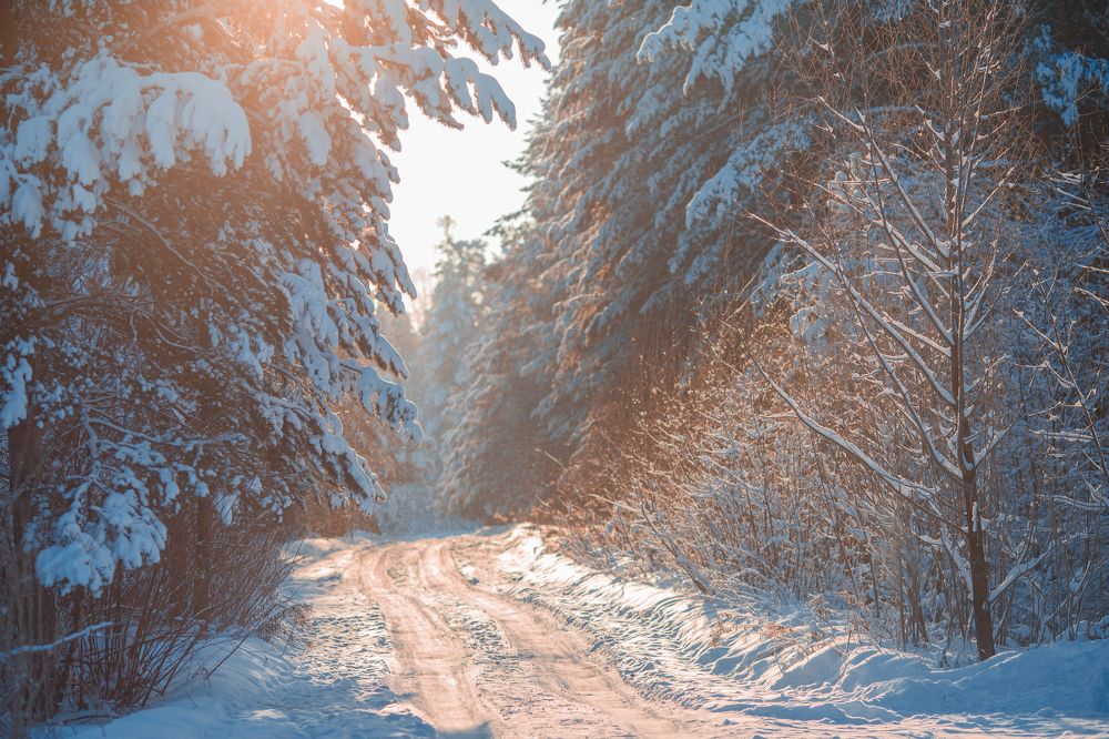 Photograph by Ольга Миронова