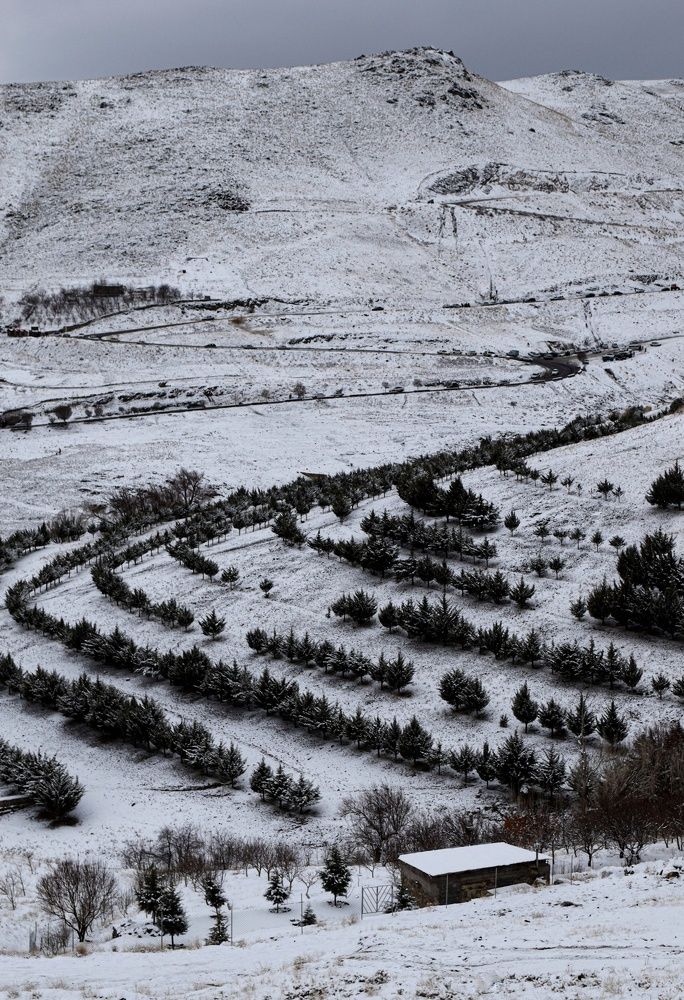 Photograph by Amin Hadadian