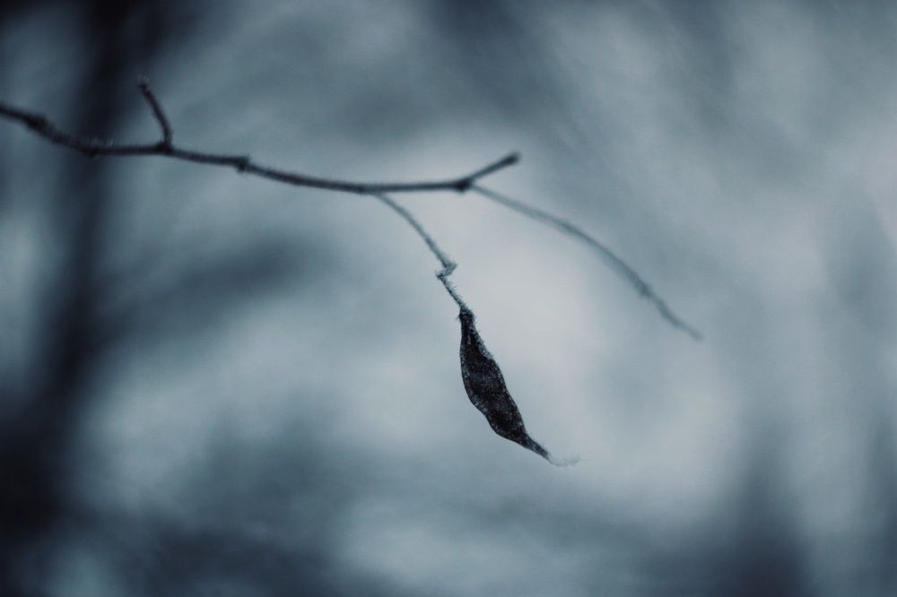 Photograph by Алёна Бондаренко