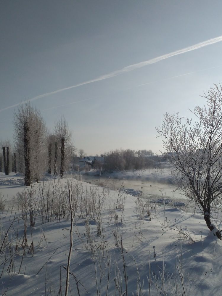 Photo #7091268