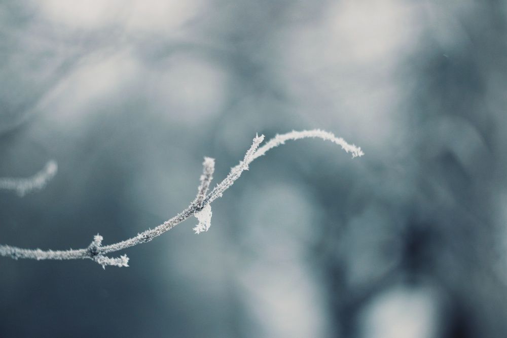 Photograph by Алёна Бондаренко