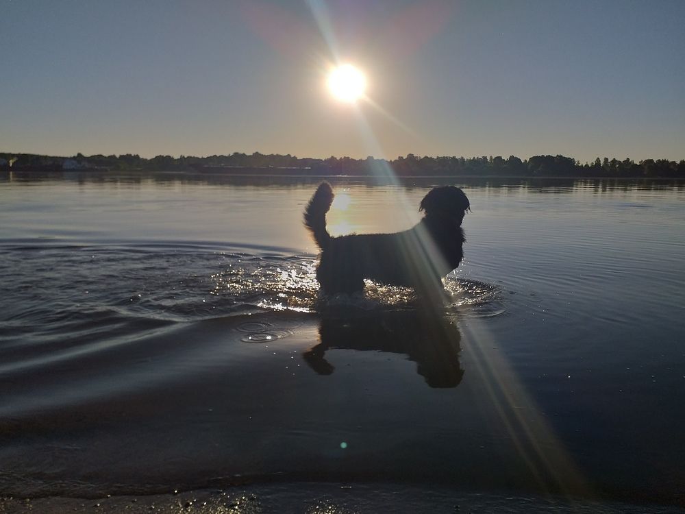Photo #7091385