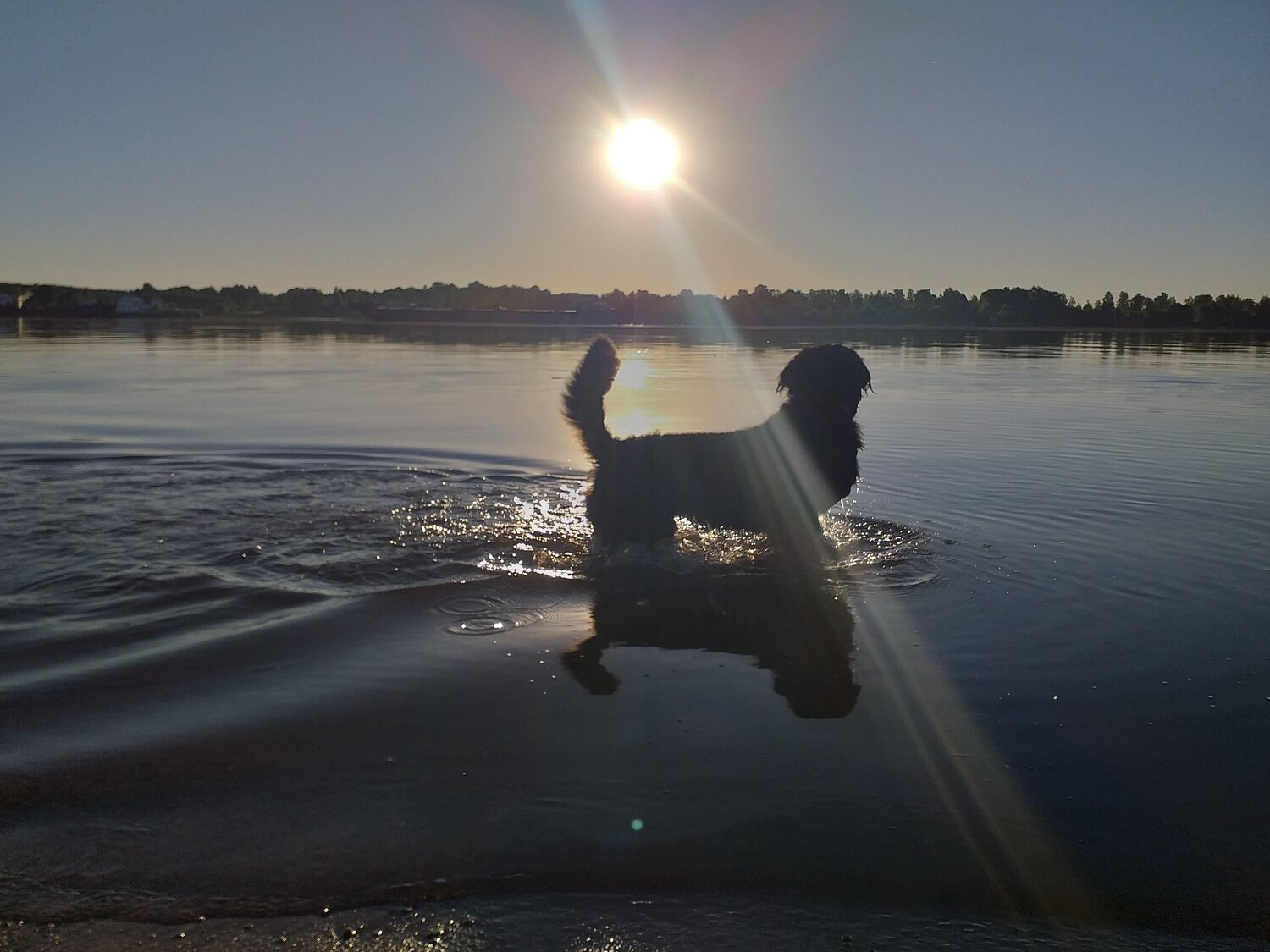 Photo #7091385