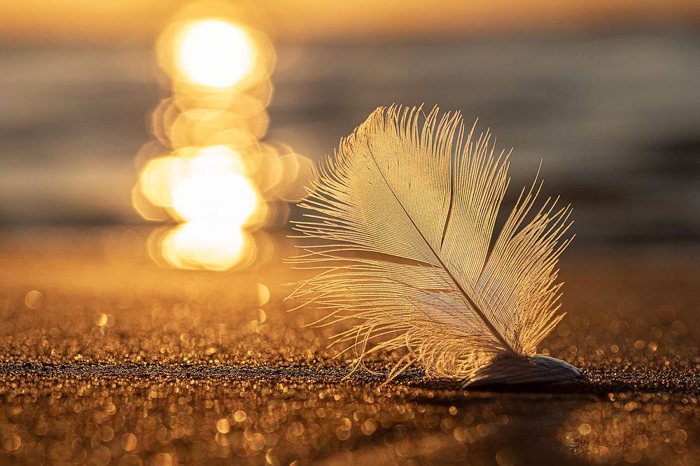 Photograph by Anzela Bazyk