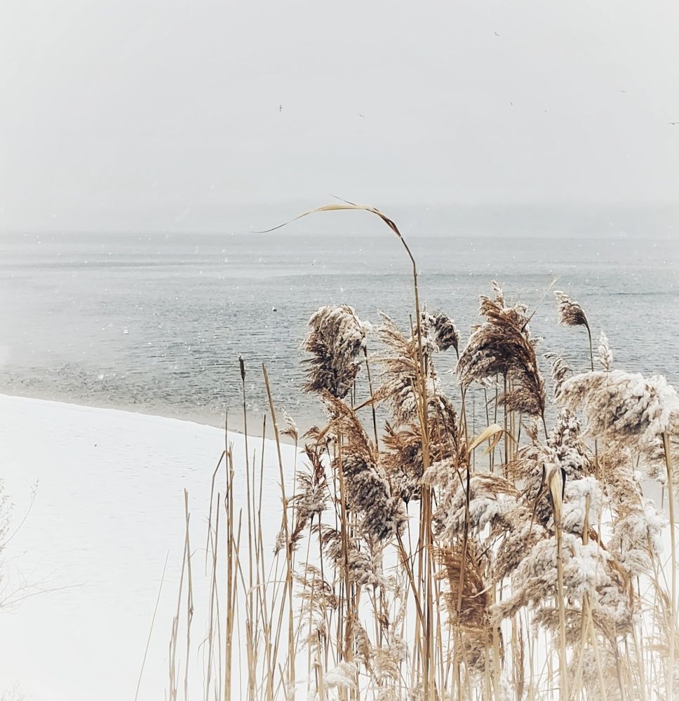 Фотография автора Igor Dyomin