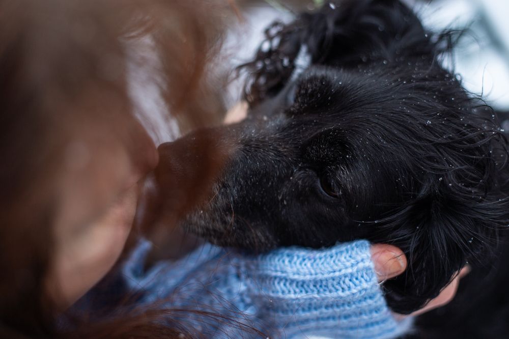 Photograph by Татьяна Олександрович