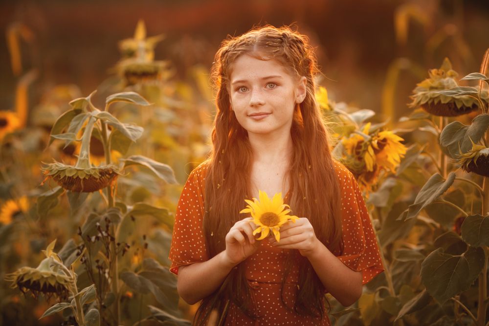 Подсолнухи.