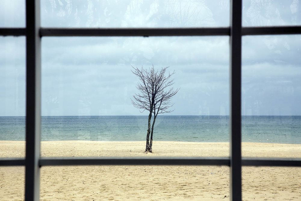 Photograph by Игорь Селин