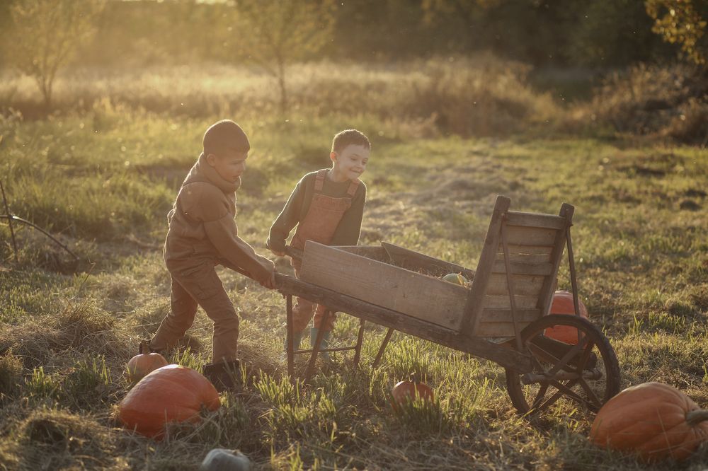 Photograph by Elena Ferciug