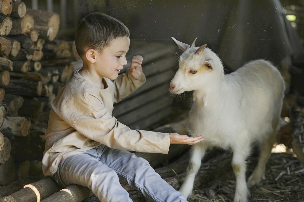 Photograph by Elena Ferciug