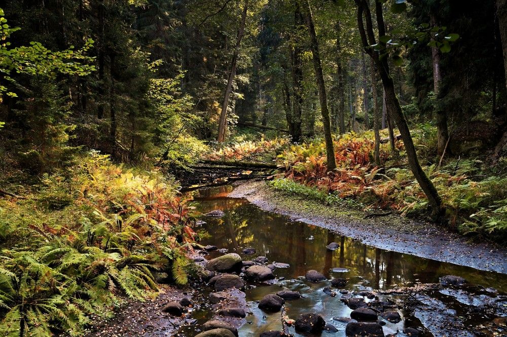 Photograph by Ija Reiman