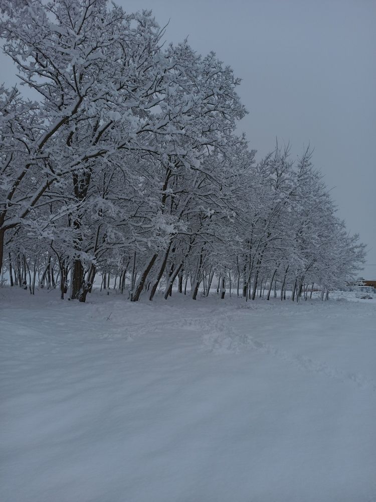 Фотография автора Татьяна Долгушева