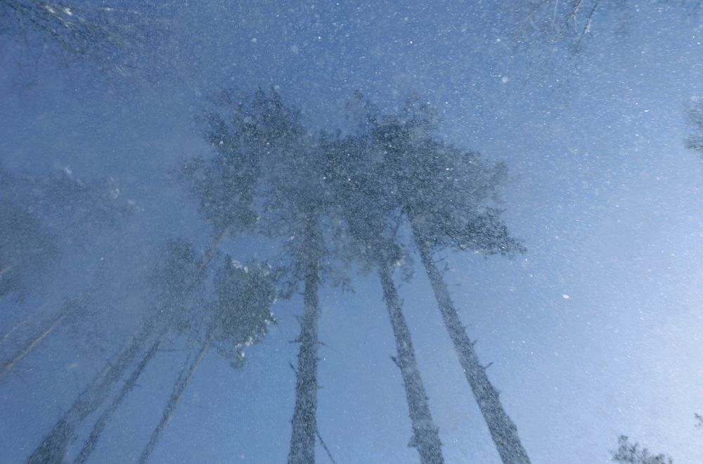 Photograph by Artem Gatin