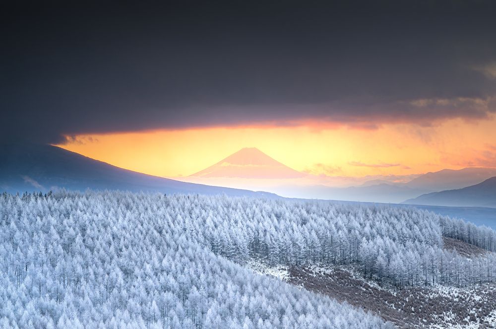 Photograph by Matsubara Hiroki