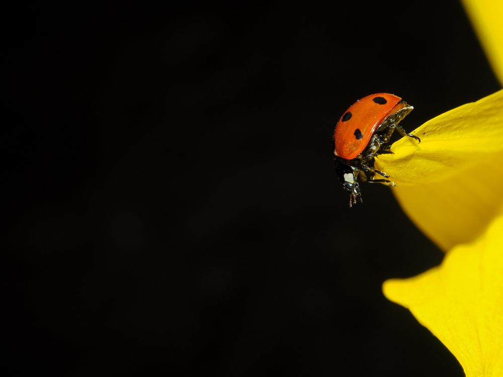 Шаг в неизвестность