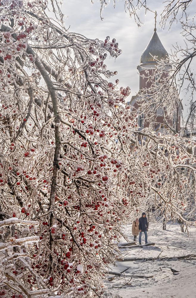 Photograph by Ольга Мусиенко